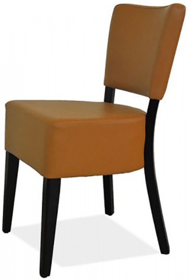 Polsterstuhl Anna S16
